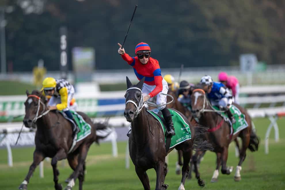 Verry Elleegant, here winning at Randwick, will be partnered by Frankie Dettori when lining up at Deauville (Cal Sport Media/Alamy Stock Photo)