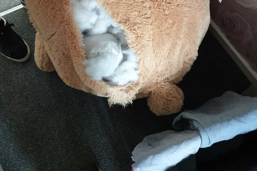 Dobson was caught hiding inside a large teddy bear (PA)