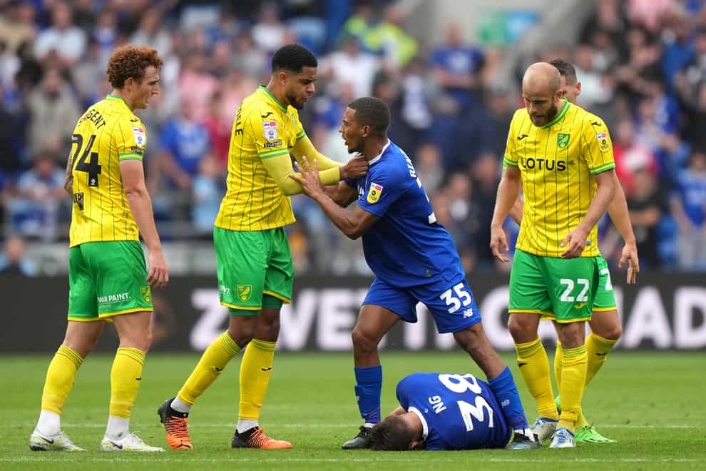 Cardiff and Norwich have been fined after a fracas during their recent game (Tim Goode/PA)
