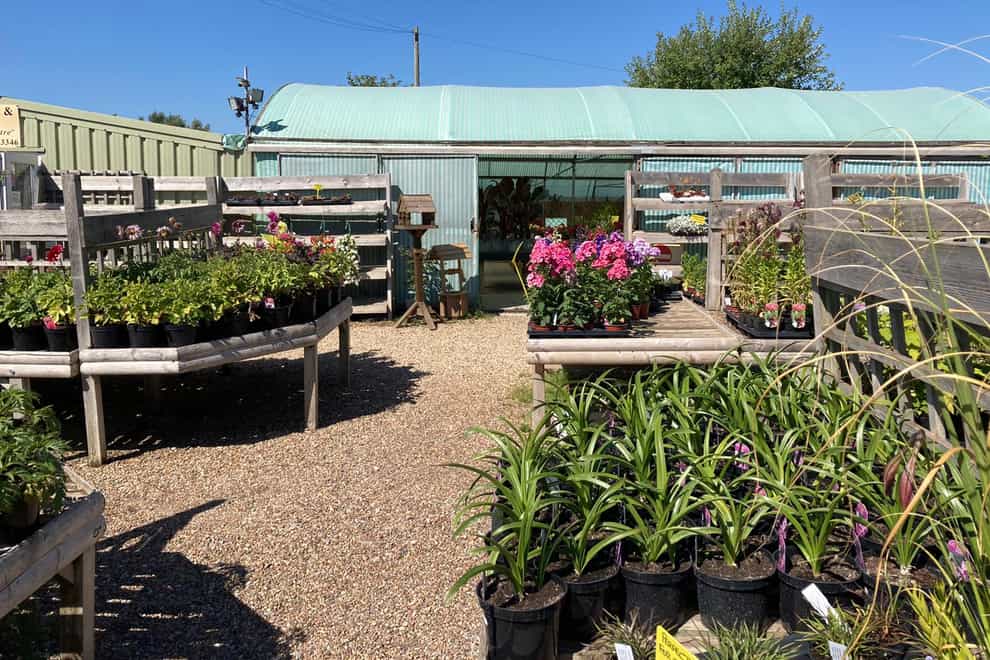 Pete Cook, manager of Chalcroft Nurseries near Bognor Regis is not surprised the town is one of the driest in England (PA)