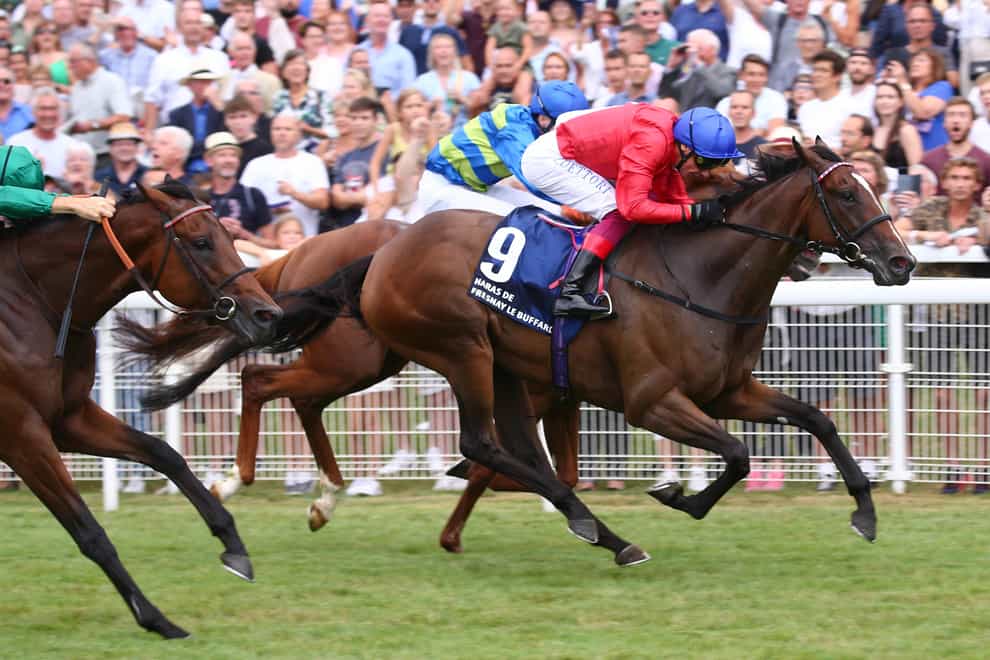 Inspiral shone in the Prix Jacques le Marois (Scoopdyga/France Galop)