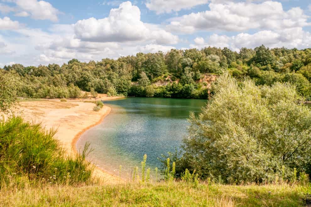Bawsey Country Park outside King’s Lynn in Norfolk (Alamy/PA)
