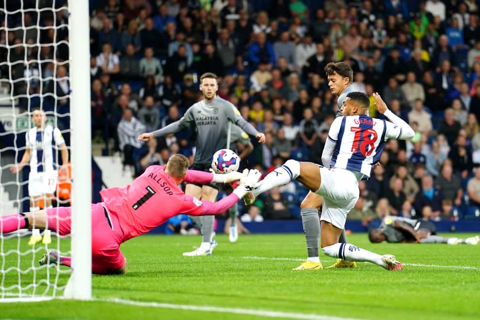 West Brom were frustrated by Cardiff (David Davies/PA)