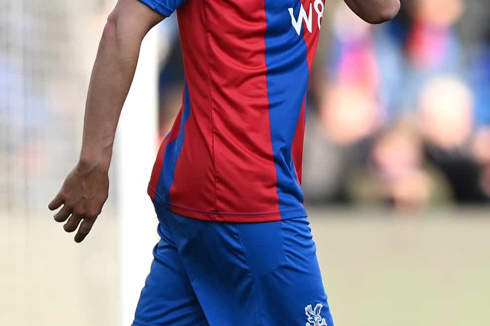 James Tomkins is still out for Crystal Palace (Facundo Arrizabalaga/PA)