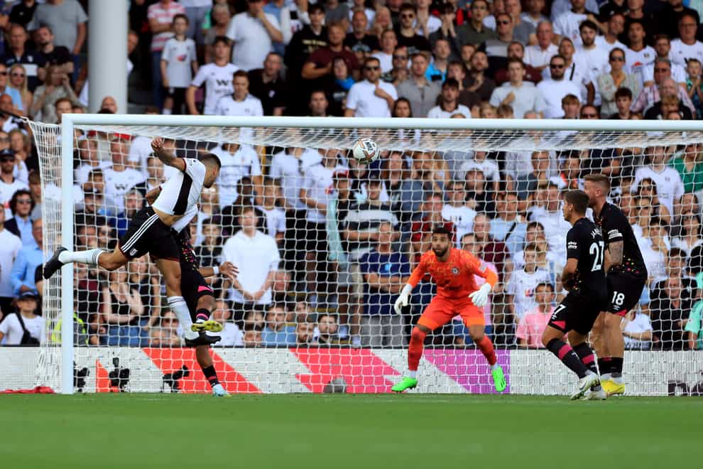 Aleksandar Mitrovic scored a last-minute winner for Fulham (Bradley Collyer/PA)