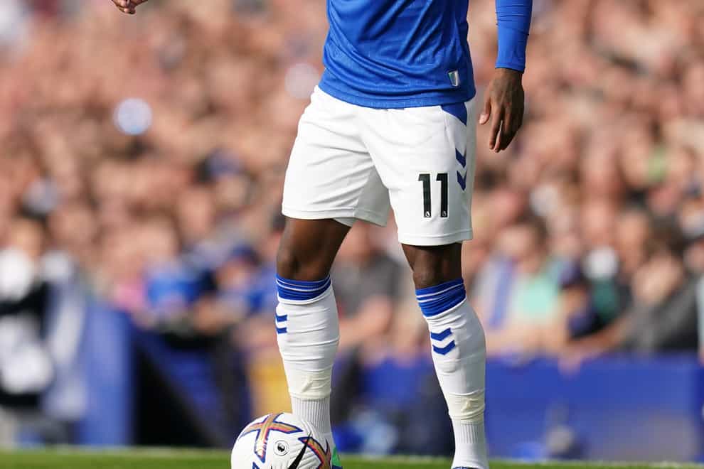 Demarai Gray earned a point for Everton (PA)