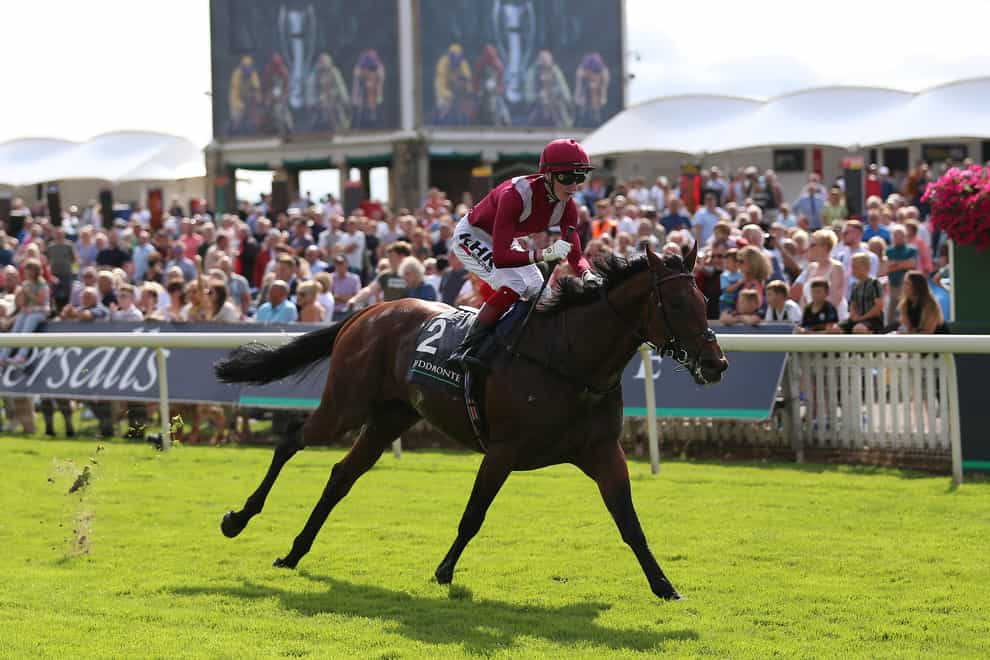 Mishriff and David Egan wins the Juddmonte International Stakes at York last year, but had to settle for second behind Baaeed this time around (Nigel French/PA)