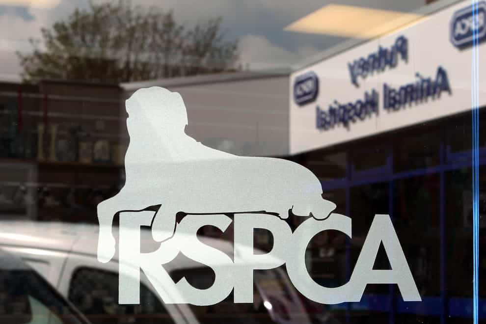Milly is now featuring in a RSPCA Cancel Out Cruelty campaign (Sean Dempsey/PA)