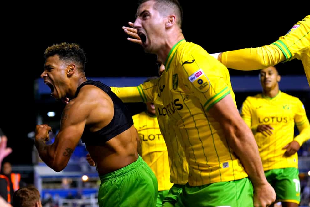 Norwich’s Onel Hernandez celebrates scoring (Jacob King/PA)