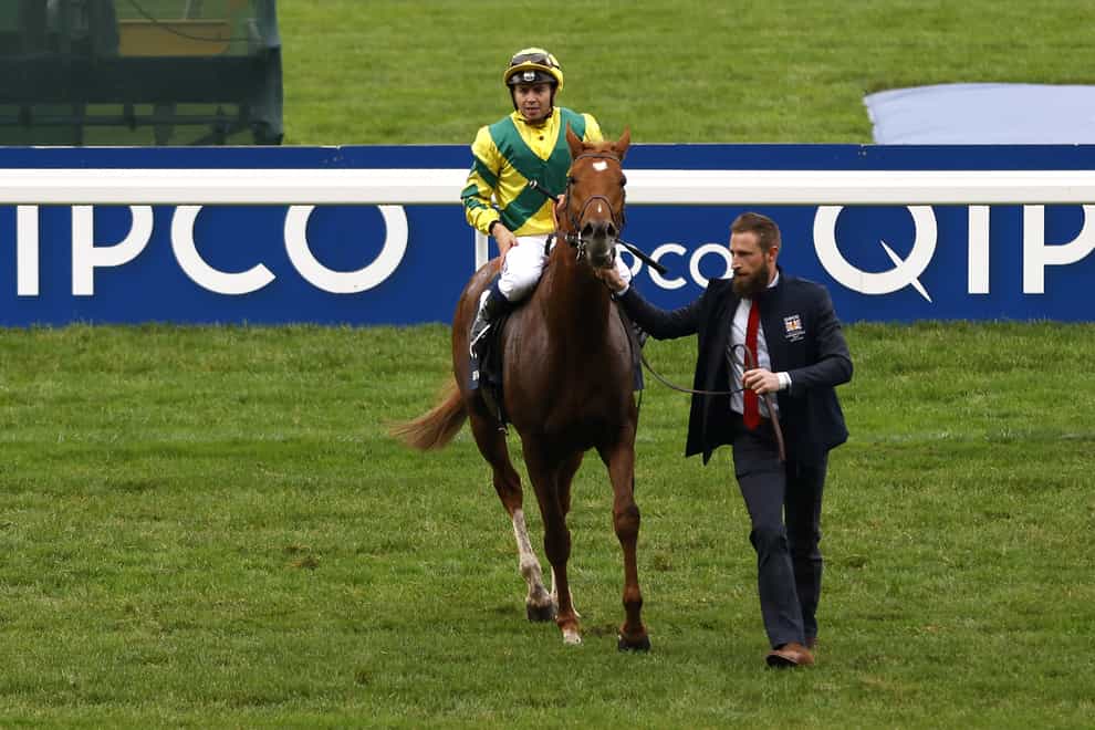 Jockey Mickael Barzalona celebrates with Sealiway after winning the Qipco Champion Stakes during the Qipco British Champions Day at Ascot Racecourse (Steven Paston/PA)