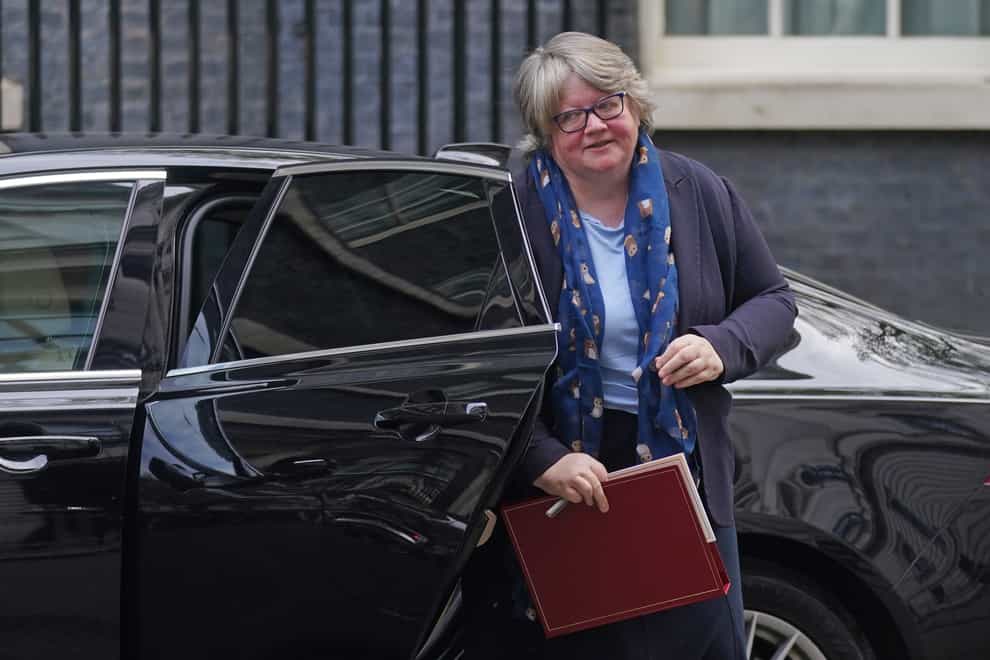Therese Coffey has a demanding In-tray as she takes over the health and social care portfolio (PA)