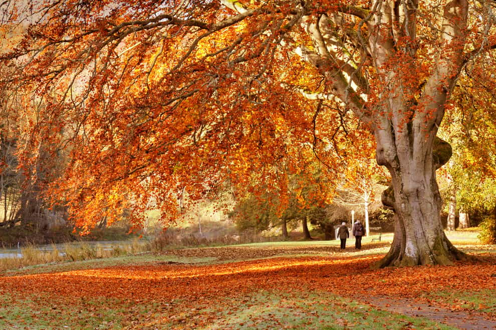 Embrace autumn (Alamy/PA)