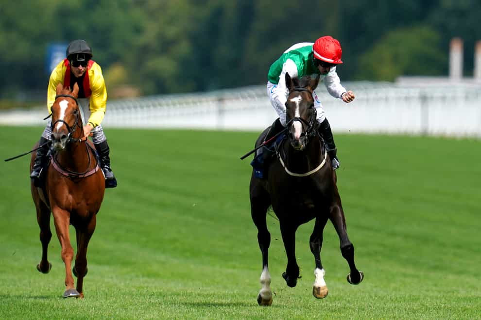 Pyledriver (right) is out of the Arc (John Walton/PA)