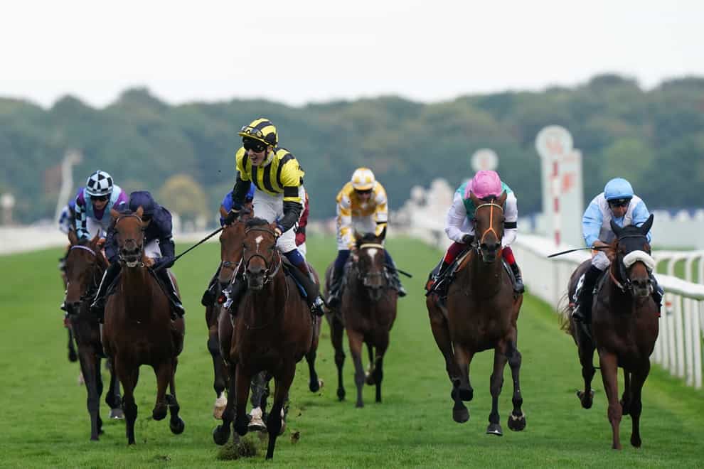 Haskoy (second right) in action in the St Leger (Tim Goode/PA)