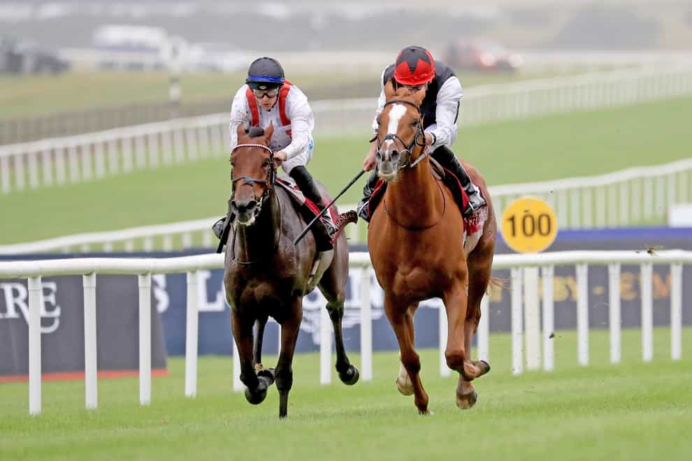 Hamish (left) pushed Kyprios all the way in the Irish St Leger (Donall Farmer)