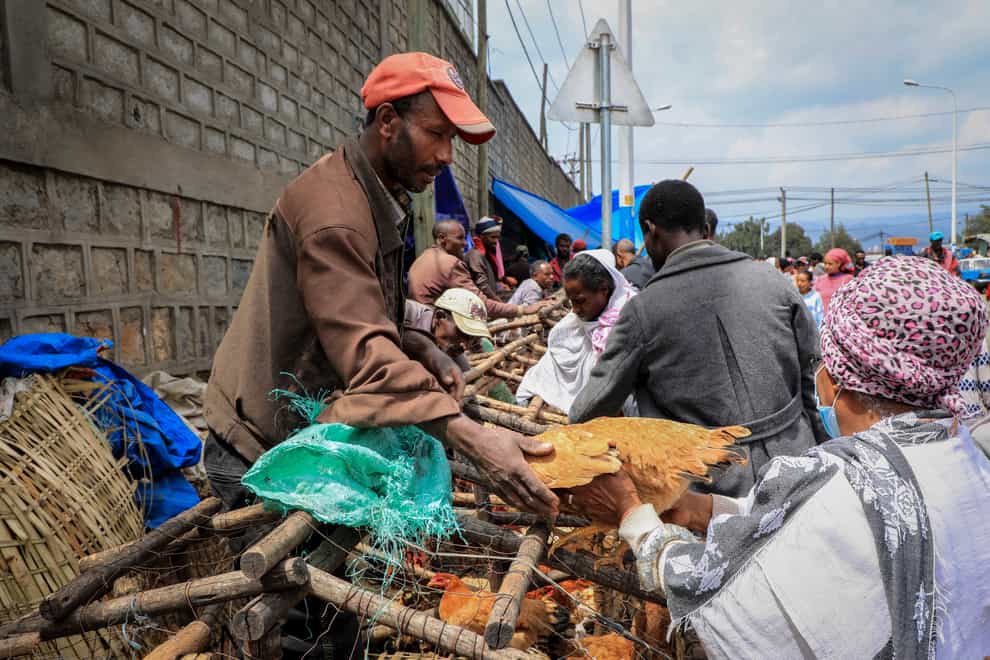 A man sells chickens in Sholla Market in Addis Ababa (AP)