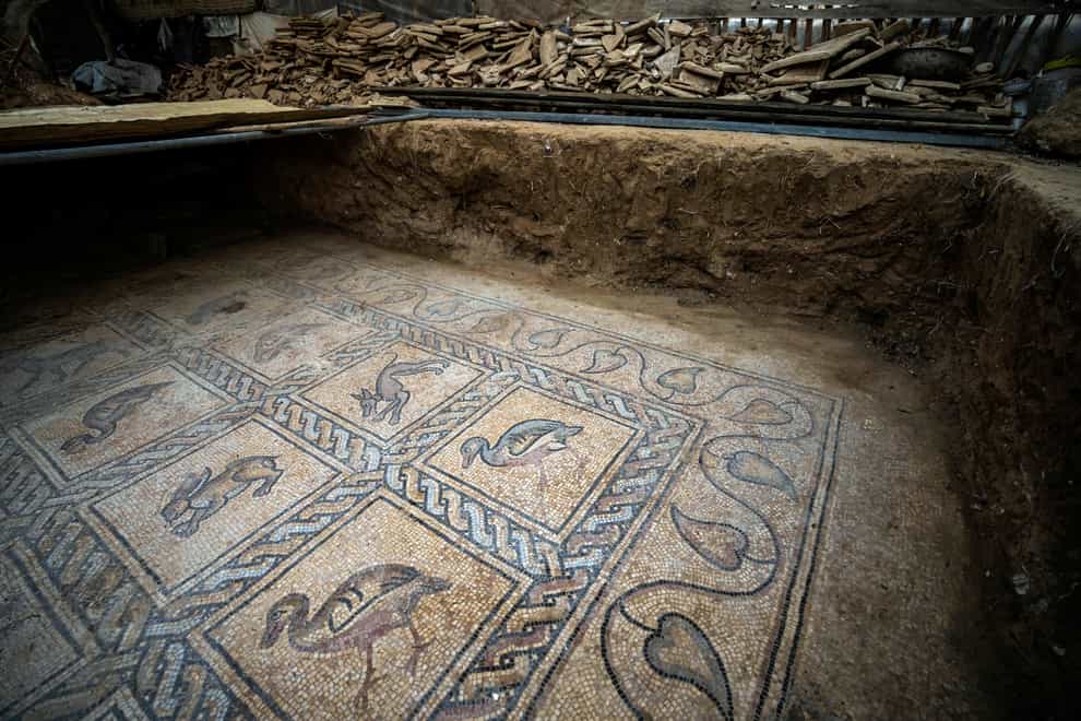 The Byzantine-era mosaic (Fatima Shbair/AP)