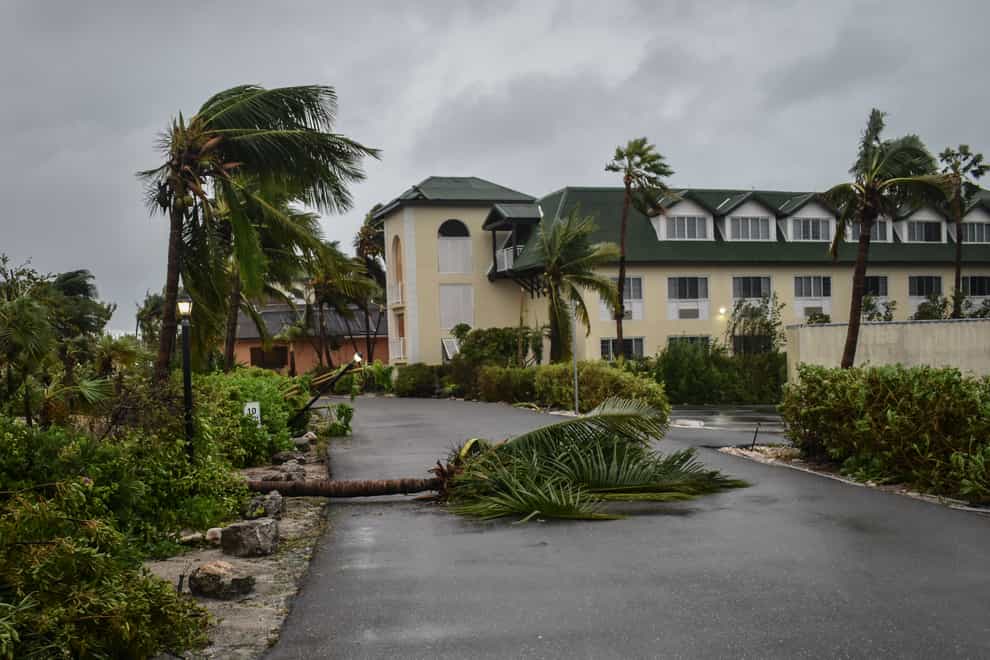 Fallen palm trees after Hurricane Fiona passed though Providenciales, Turks and Caicos Islands (Vivian Tyson/AP)