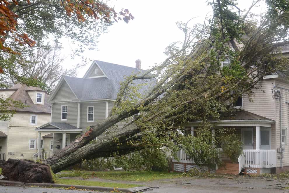 A fallen trees leans against a house in Sydney, Nova Scotia, as Storm Fiona wreaks havoc (Vaughan Merchant /The Canadian Press via AP)