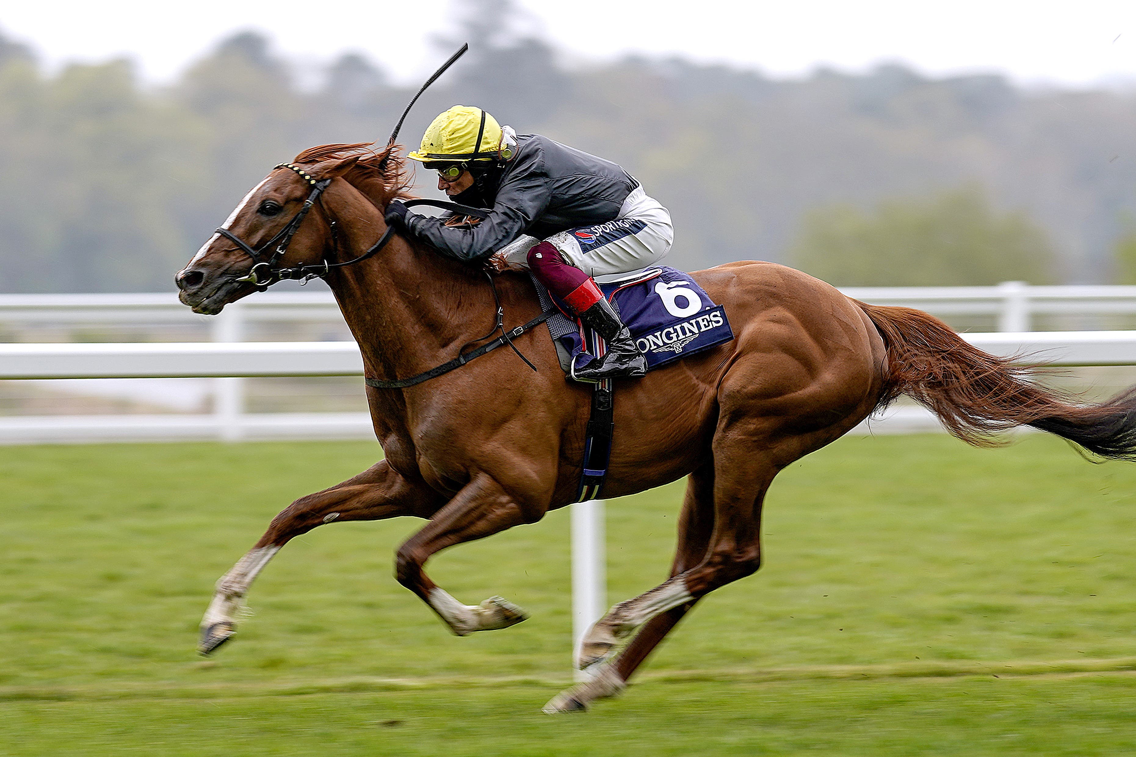 Nielsen feels timing was right as Stradivarius heads to stud