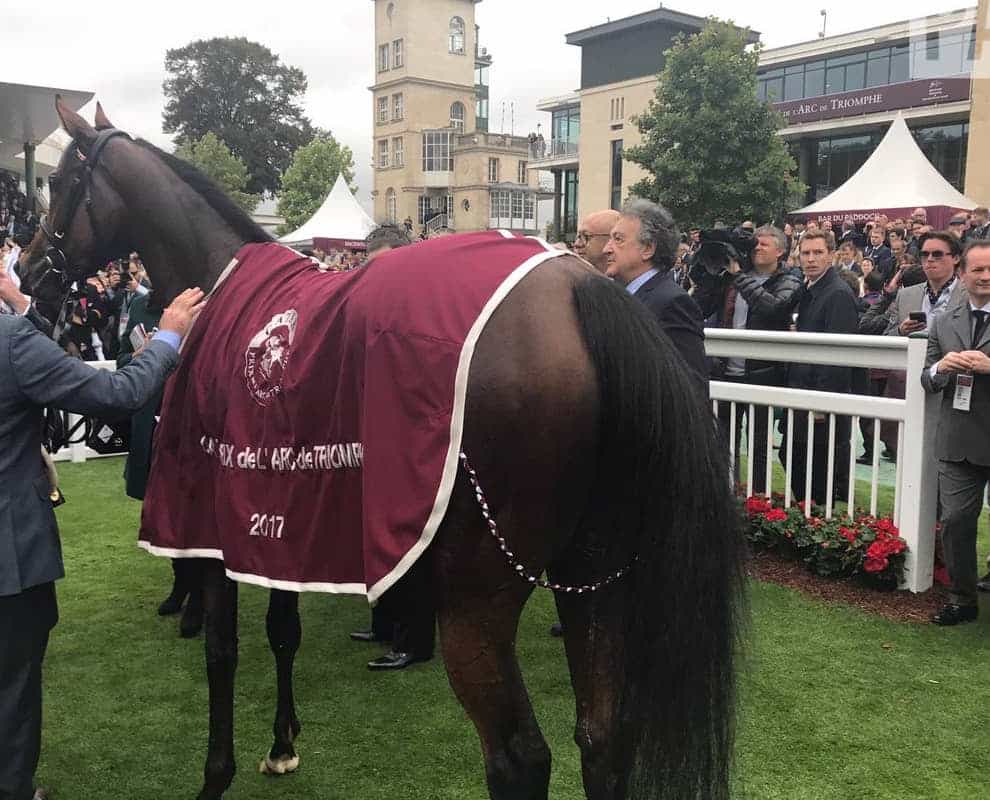 Enable after her first victory in the Arc (PA)