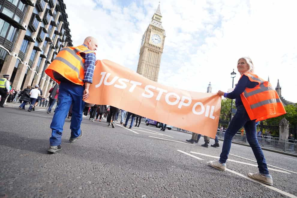 People take part in a Just Stop Oil protest in Whitehall (James Manning/PA)