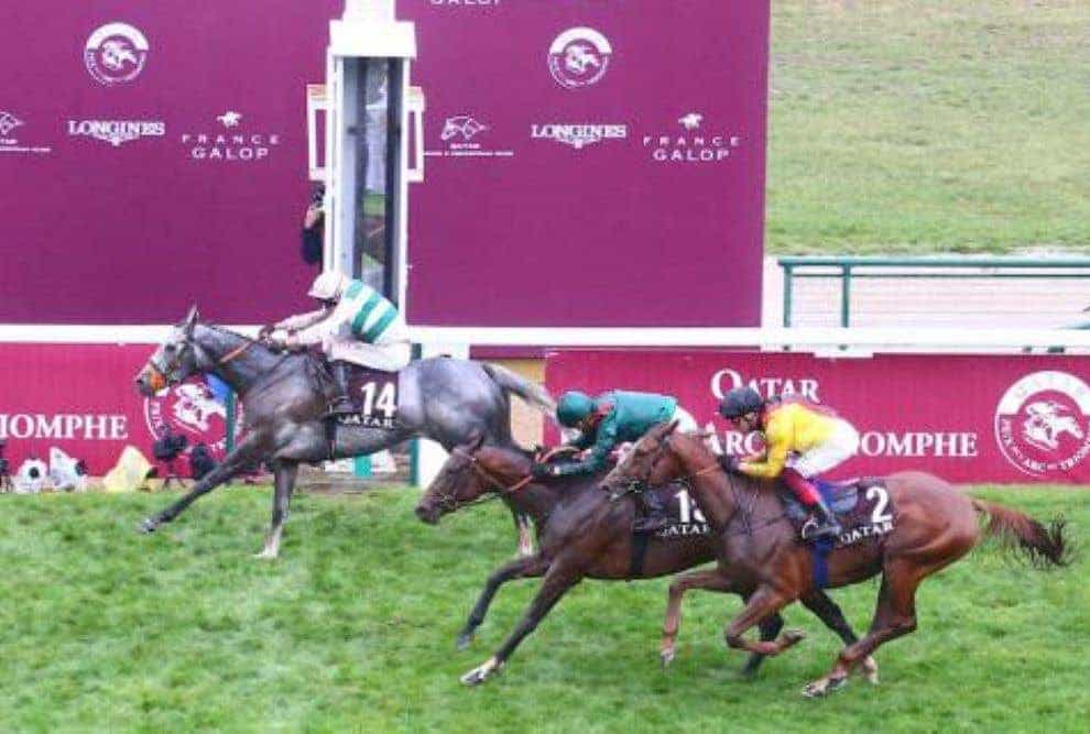 Alpinista came home in front at ParisLongchamp (Scoopdyga)