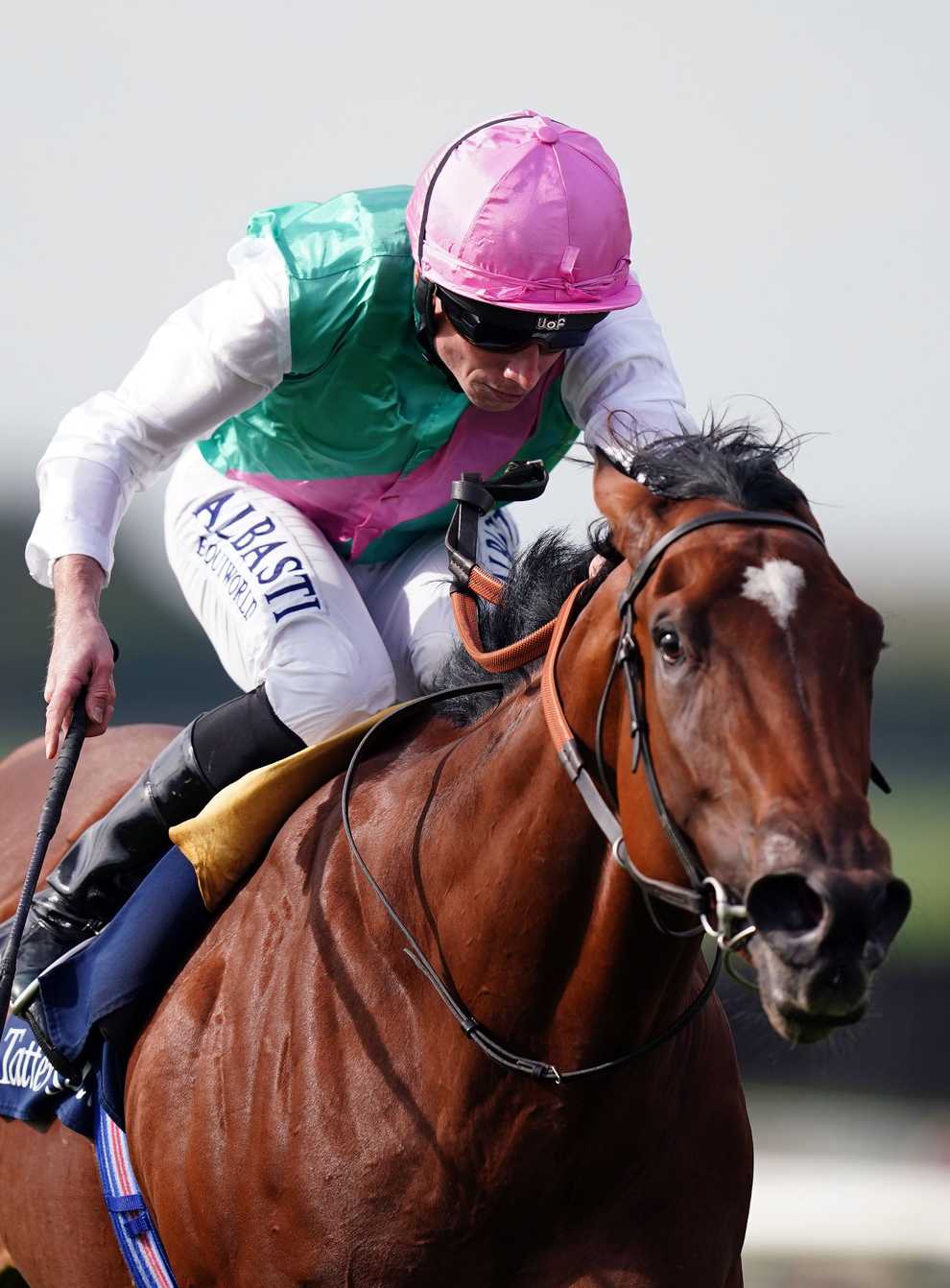 Nostrum is one of two big hopes for Juddmonte in the Dewhurst (Mike Egerton/PA)