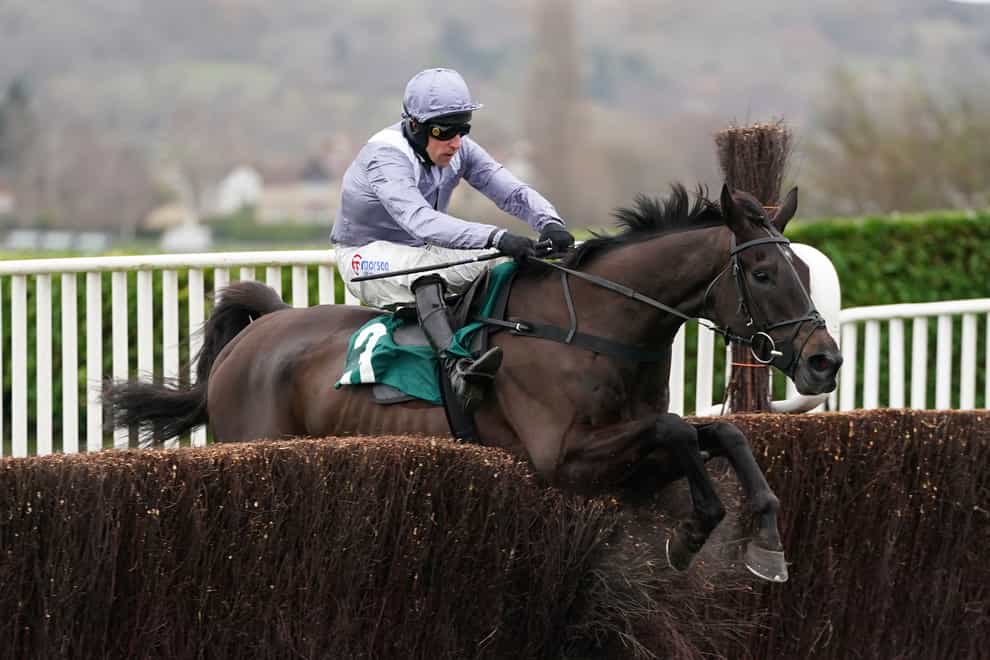 My Drogo ridden by Harry Skelton before going on to win the bearrene.com Novices’ Chase during day two of The International meeting at Cheltenham Racecourse (David Davies/PA)
