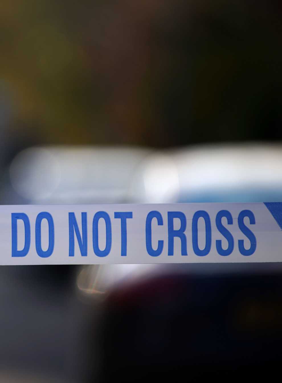 A man has been arrested and five American bulldogs have been destroyed after a woman died following a dog attack in Liverpool (Peter Byrne/PA)