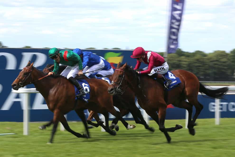 Vadeni (left) winning the Coral-Eclipse at Sandown (Nigel French/PA)