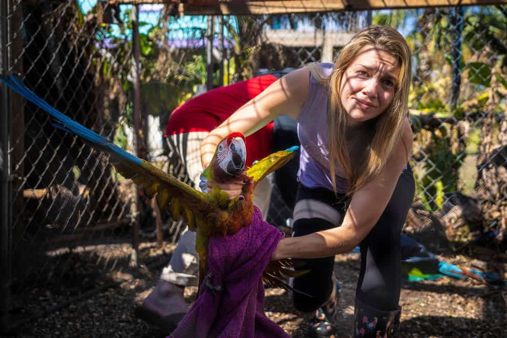 Alexis Highland handles a parrot at the Malama Manu Sanctuary in Pine Island (AP)