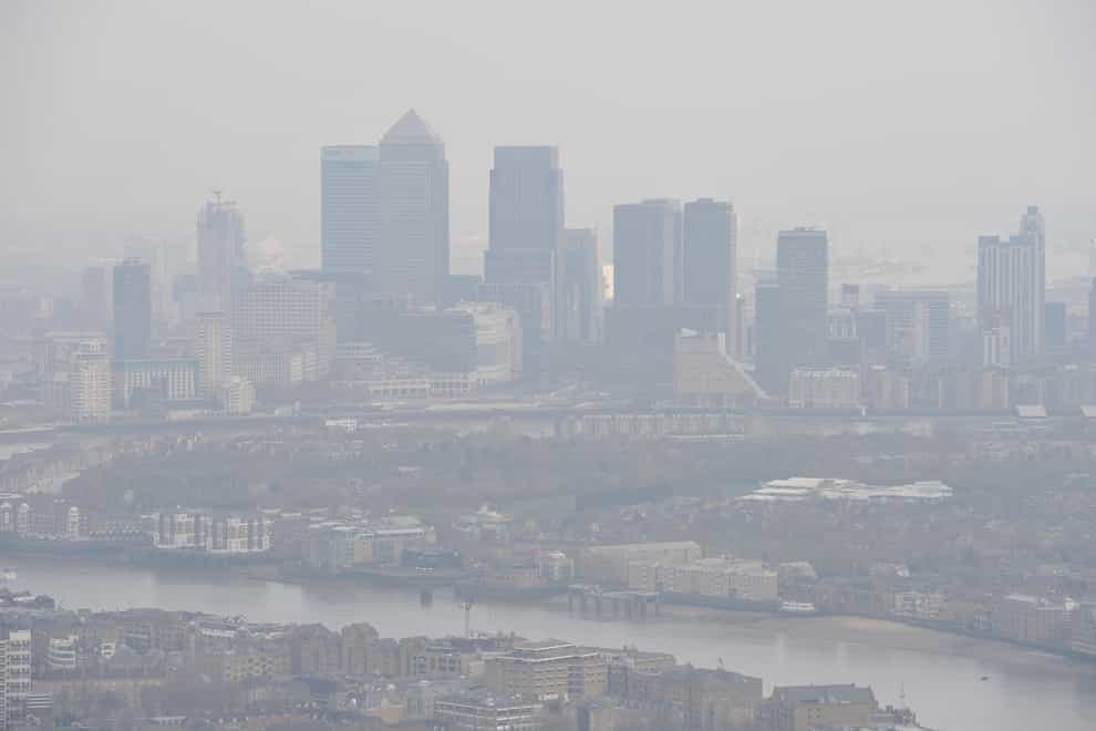 New study finds air pollution particles in unborn babies (PA)