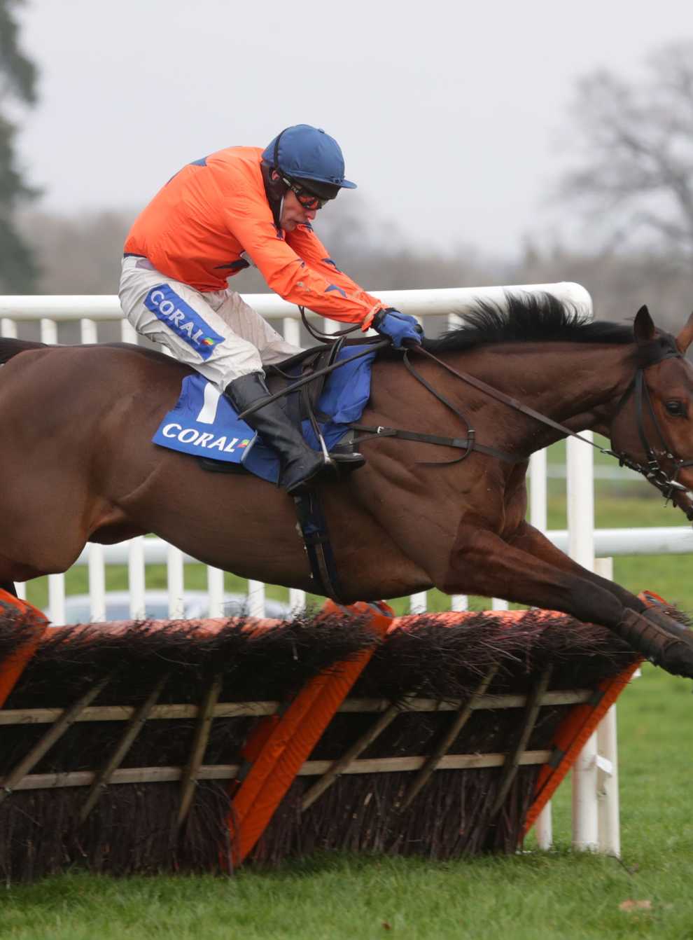 Adagio ridden by Tom Scudamore clears a fence before winning the Coral Finale Juvenile Hurdle during the Coral Welsh Grand National day at Chepstow Racecourse (David Davies/PA)