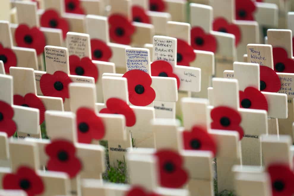 Rows of poppies on crosses are laid out in the Field of Remembrance outside Westminster Abbey in central London (Victoria Jones/PA)