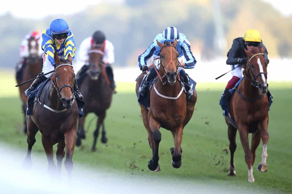 Tashkhan (second from right) in the Qipco British Champions Long Distance Cup during the Qipco British Champions Day at Ascot Racecourse (Steven Paston/PA)