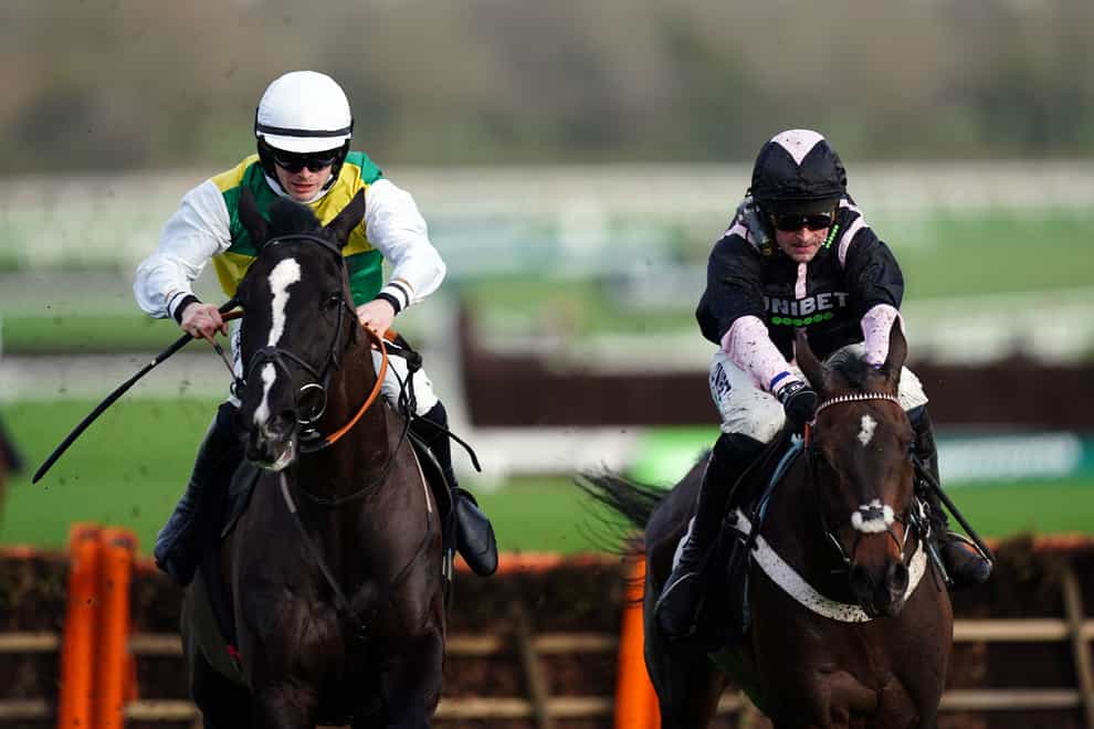 Hillcrest (left) ridden by Richard Patrick before going on to win the Ballymore Novices’ Hurdle at Cheltenham Racecourse (David Davies/PA)