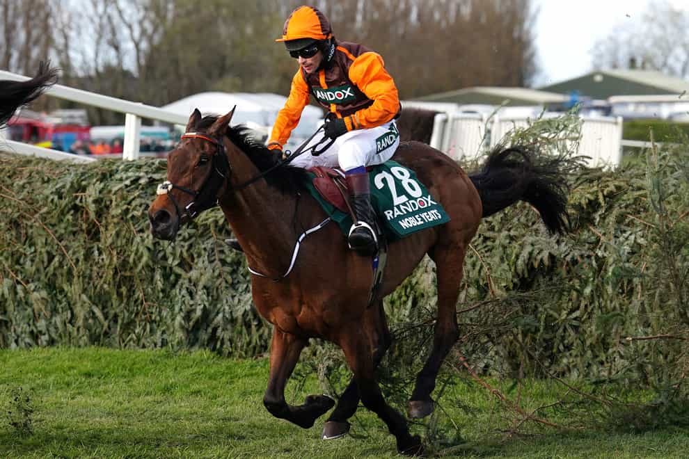 Noble Yeats, here on the way to winning the Grand National, was pulled up in Auteuil on Saturday (Mike Egerton/PA)