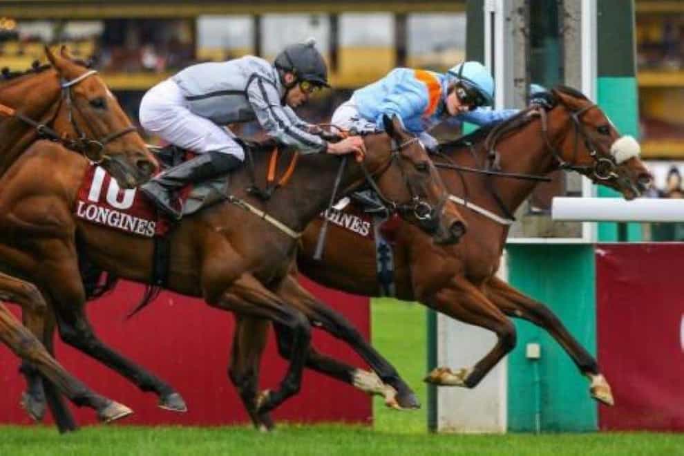 The Platinum Queen holds off all challengers at ParisLongchamp (Scoopdyga/France Galop)