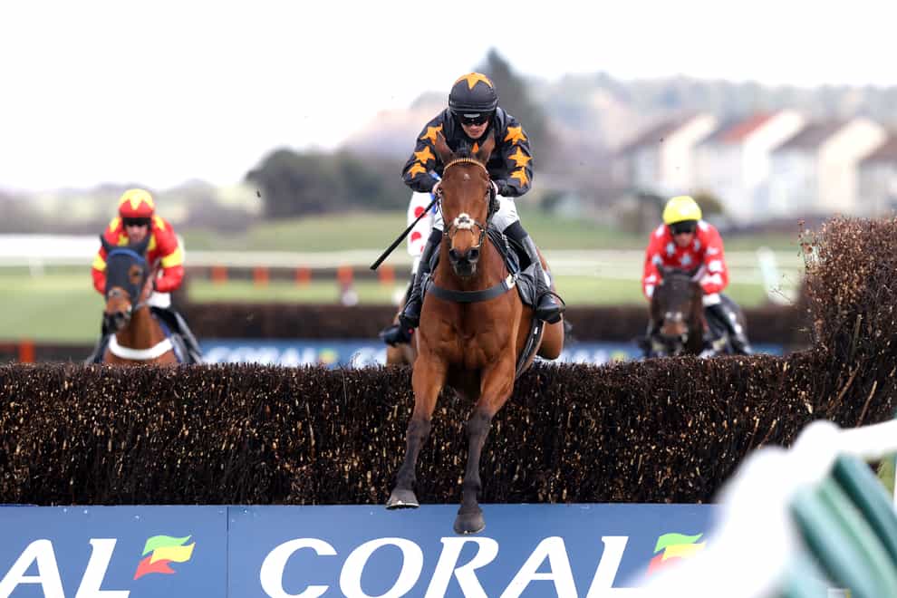 Do Your Job is set to reappear at Aintree (Jeff Holmes/PA)