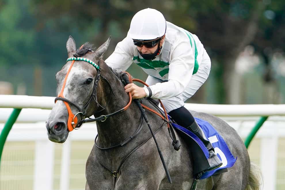 Alpinista has an entry in the Japan Cup (Alan Crowhurst/PA)