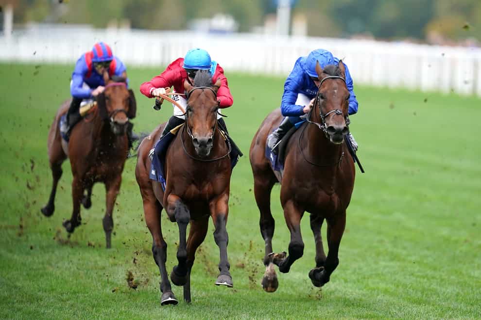 Adayar (right) put up a brave effort when second in the Champion Stakes and will return next season as a five-year-old (John Walton/PA)