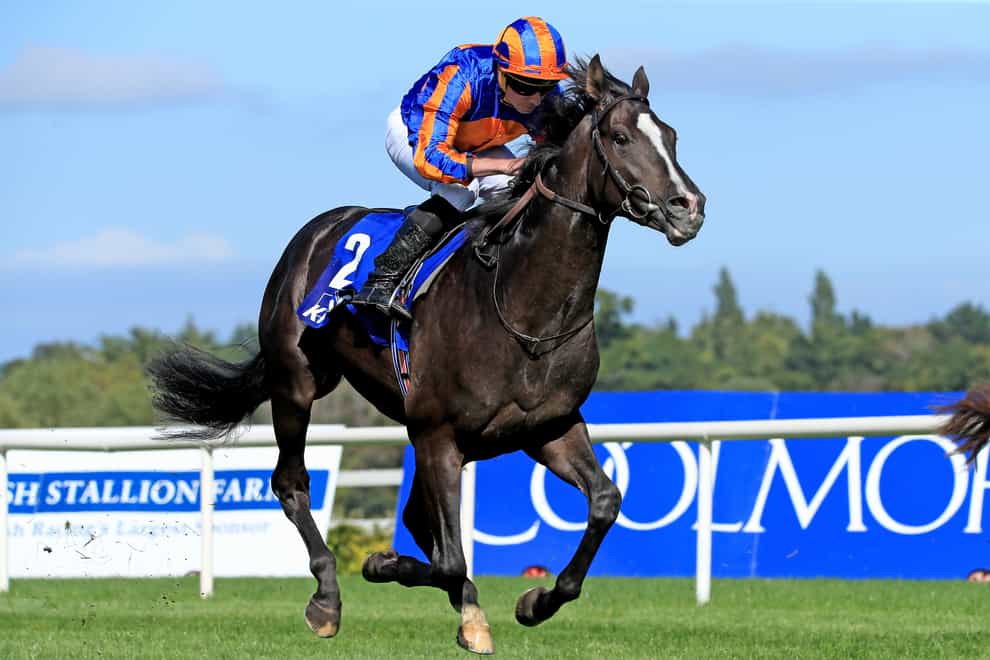 Auguste Rodin, here ridden by Ryan Moore when winning the KPMG Champions Juvenile Stakes at Leopardstown, heads the eight lining up in Saturday’s Vertem Futurity Trophy Stakes (Donall Farmer/PA)