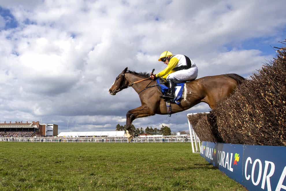 Win My Wings and Robert James landed the Scottish Grand National in April (Jeff Holmes/PA)