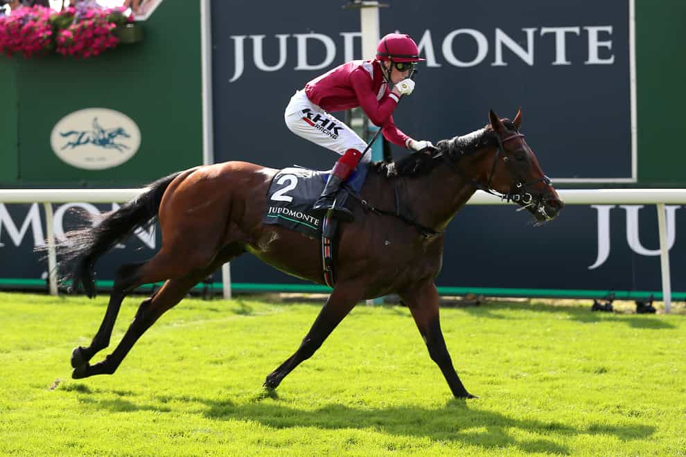 Mishriff may yet have one last hurrah at the Breeders’ Cup Turf with John and Thady Gosden’s globetrotter set to travel to America (Nigel French/PA)