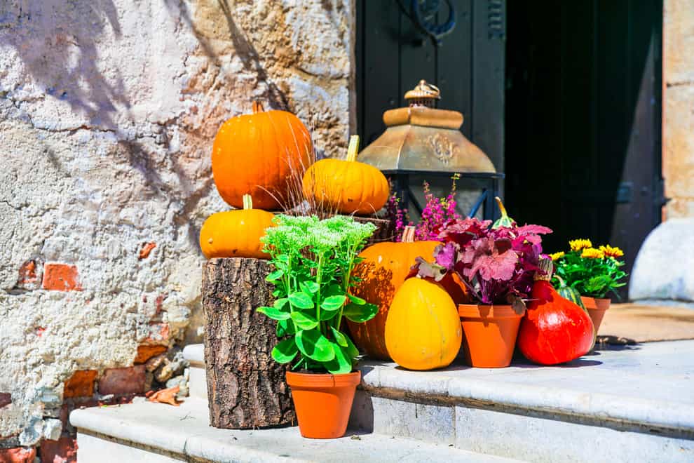 Your autumn display may be better used in the kitchen (Alamy/PA)