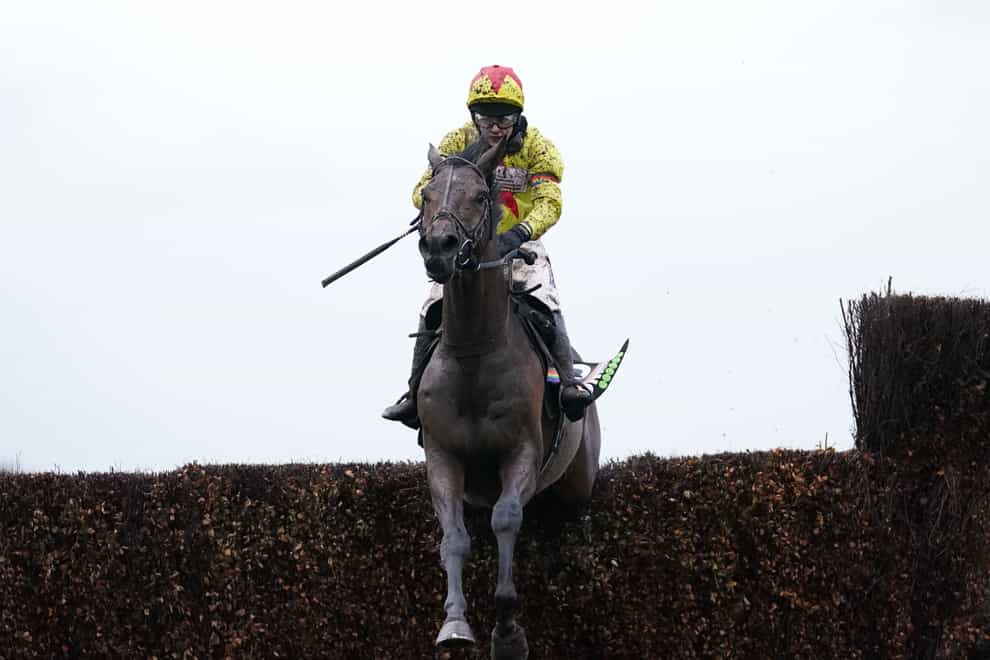 Protektorat will reappear in the Betfair Chase (Tim Goode/PA)