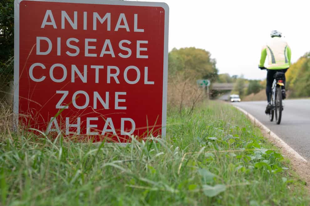 Bird flu prevention measures are being toughened up (PA)