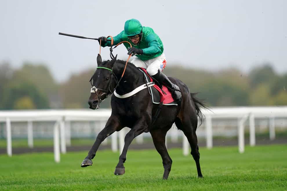 Call Me Lord was one of three winners at Kempton for Nicky Henderson (John Walton/PA)