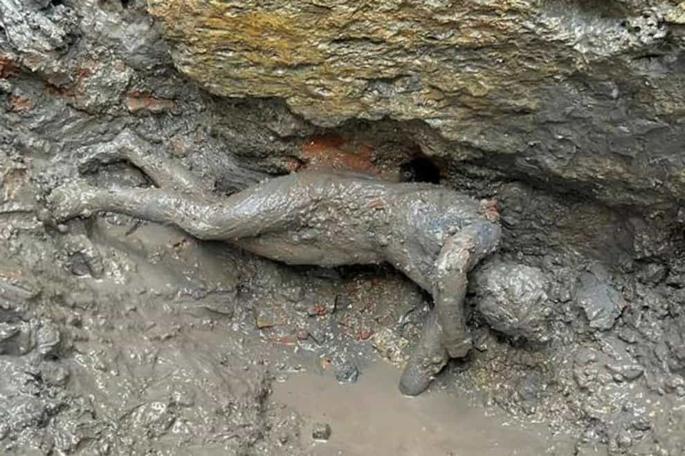 A statue is seen at the site of the discovery of two dozen well-preserved bronze statues from an ancient Tuscan thermal spring in San Casciano dei Bagni, central Italy (Italian Culture Ministry via AP/PA)